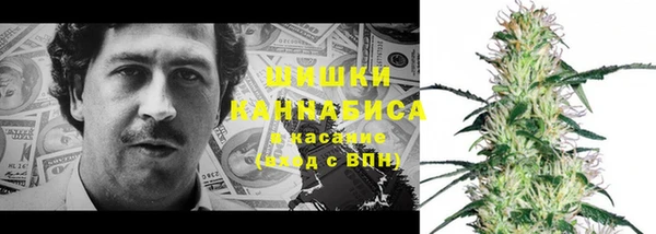 гашик Галич