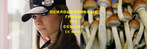 гашишное масло Гатчина
