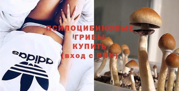 тгк Покров