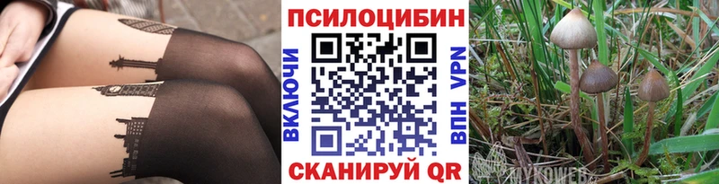 Галлюциногенные грибы MAGIC MUSHROOMS  Черепаново 