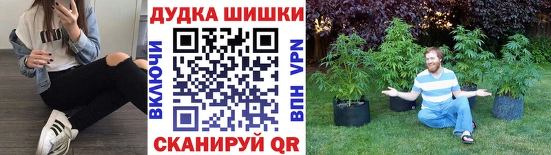 Марихуана OG Kush  Черепаново 